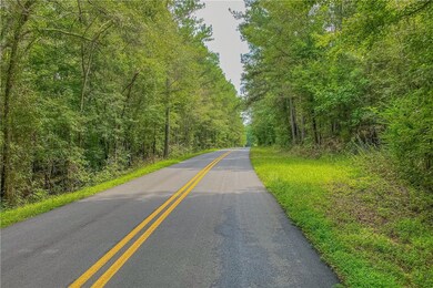 0 W Hendricks St, Bowman, GA 30624 - photo 3