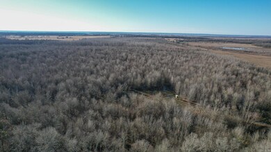 TBD Little River 32, Ashdown, AR 71822 - photo 6