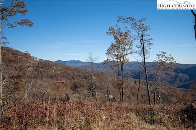 S-124 Silver Eagle Trail, Banner Elk, NC 28604 - photo 7