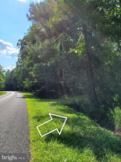 0 NW Goose Nest unit DESU2001902, Laurel, DE 19956 - photo 3