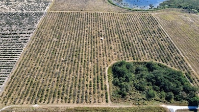 6601 Glenridge Rd, Sebring, FL 33876 - photo 6