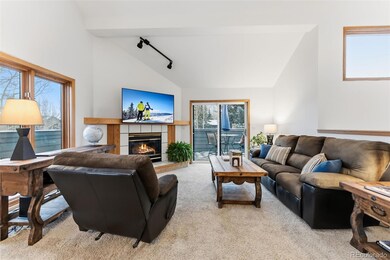 120 Hawn Dr unit A, Frisco, CO 80443 - photo 5