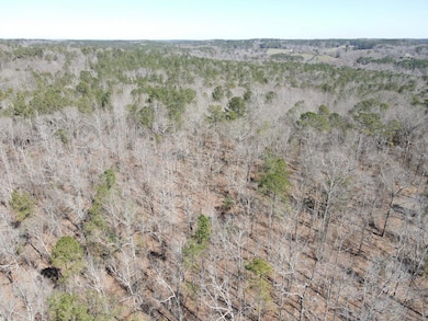 0 Atlanta Newnan Rd unit 16940870, Palmetto, GA 30268 - photo 3