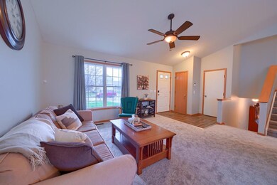 2587 Weeping Willow (9)