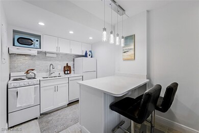 5 Bluebill Ave unit 205, Naples, FL 34108 - photo 6