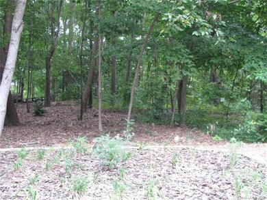 Front of the lot heavily wooded.