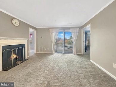 9060 Gracious End Ct unit 201, Columbia, MD 21046 - photo 2