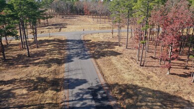 0 Orchard Hill Lot 15 Ph 2 unit 22017251, Conway, AR 72034 - photo 7