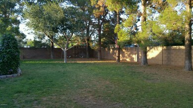 Large, private yard