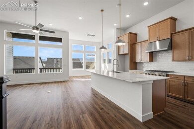 17242 Alsike Clover Ct, Monument, CO 80132 - photo 5