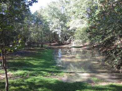 0 Highway 43, Oak Vale, MS 39656 - photo 5