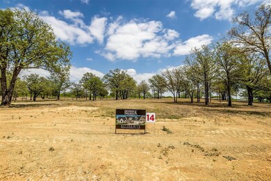 1036 Estancia Blvd, Weatherford, TX 76088 - photo 5