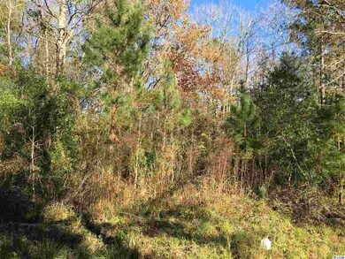 TBD Bunyan Ln unit Tract C, Conway, SC 29527 - photo 2