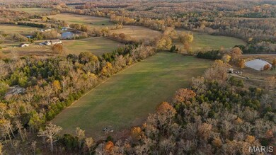 2168 Pendleton Rd, Farmington, MO 63640 - photo 7