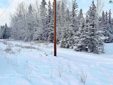 L10 B13 Kimball St, Delta Junction, AK 99737 - photo 3