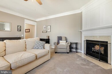 1809 Kenwood Ave unit 302, Alexandria, VA 22302 - photo 6