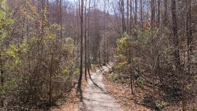 3 Waterdance Dr, Cullowhee, NC 28723 - photo 3