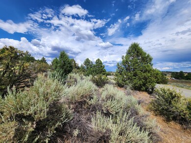 0 Drews Rd unit 25625857, Chiloquin, OR 97639 - photo 4