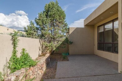 Backyard with window