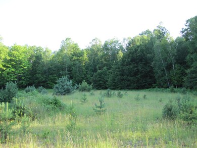 2012-07 MapleForest (19)
