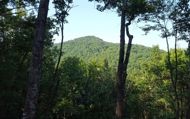 Additional View