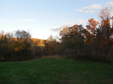 920 Scarborough Hollow Rd, Stewart, TN 37175 - photo 7