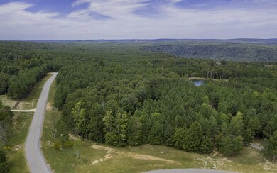 0 Bear Trace Dr unit RTC2722776, Jasper, TN 37347 - photo 3