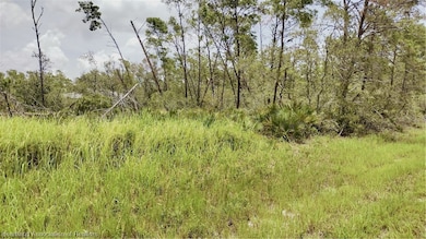 8008 Vittorio St, Sebring, FL 33872 - photo 4