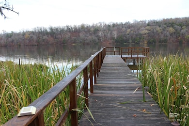 6932 Henderson Rd, Lowndesboro, AL 36752 - photo 2