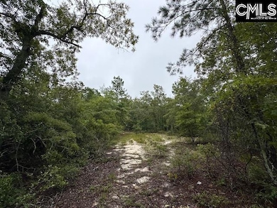 P/O 1375 Fallaw Rd, Gaston, SC 29053 - photo 6