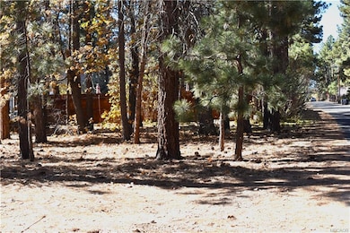 294 Pine Ln, Big Bear, CA 92314 - photo 6