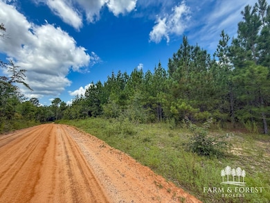 XX7 Alred Rd, Westville, FL 32464 - photo 2