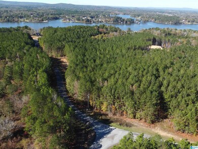 Lot 221 Shore Side Ln, Sylacauga, AL 35151 - photo 5