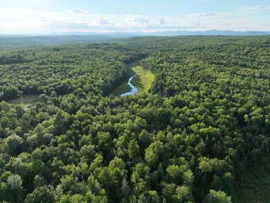 DJI_0131