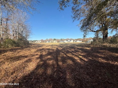 136 Bridgewater South Dr, Bath, NC 27808 - photo 6