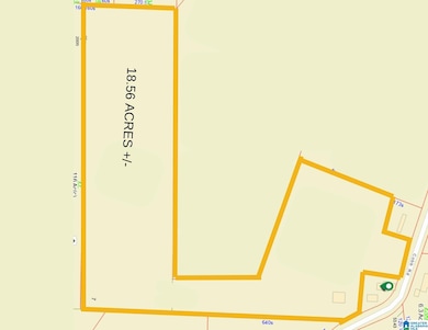 1401 Cobb Rd, Munford, AL 36268 - photo 4