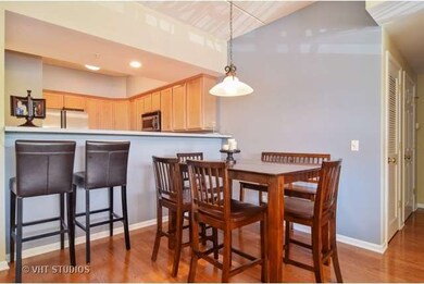 111 N Larch Ave unit 301, Elmhurst, IL 60126 - photo 4