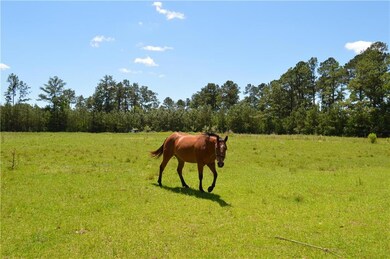 30604 Par Road 47, Franklinton, LA 70438 - photo 3
