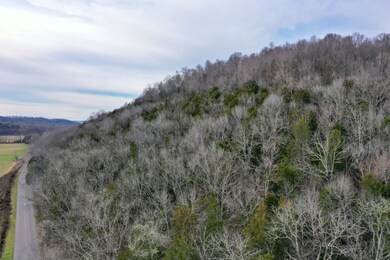 565 Cedar Creek Rd, Linden, TN 37096 - photo 5