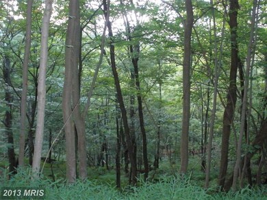 175 S Branch Mountain Rd, Moorefield, WV 26836 - photo 7