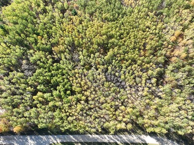 TBD NW Cedar Crest Loop, Walker, MN 56484 - photo 7