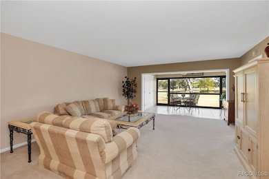 3 Cypress Run unit 36B, Homosassa, FL 34446 - photo 6