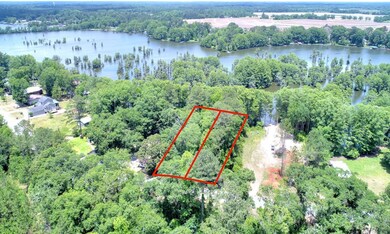 0 Mill Branch Rd, Warwick, GA 31796 - photo 3