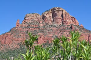 View 1 Elephant Rock