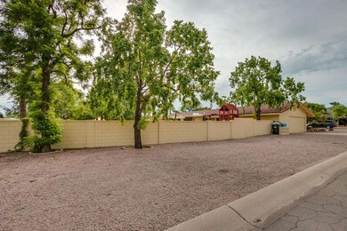 Sahuaro-006