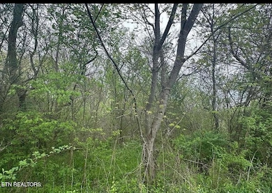 Image_20250326_084147_184