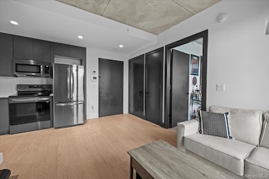 458 E 25th St unit 305, Brooklyn, NY 11226 - photo 3