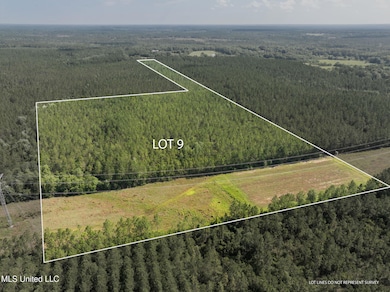 Herman_Ladner_Road_Lot_9-2