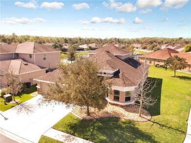 Aerial Views
