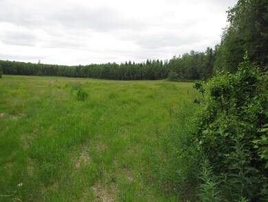 IMG_0655 - A8_  30 acres hay land